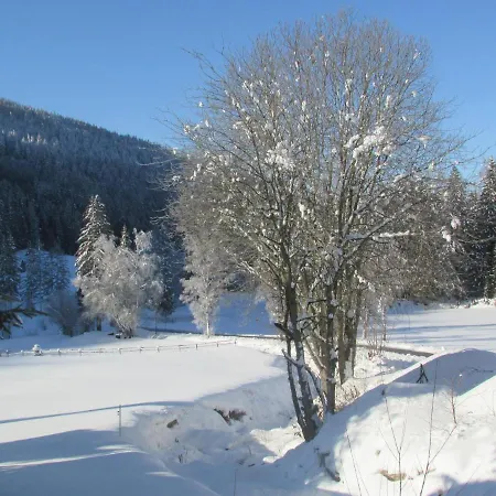 Priller Lachtal