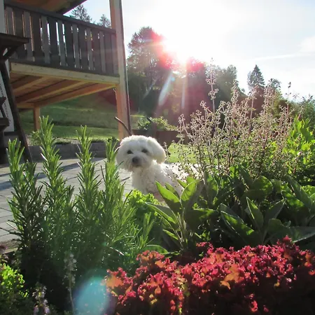 Priller * Schönberg-Lachtal