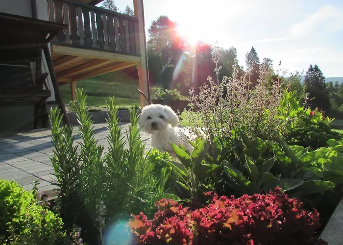 Priller * لاختال